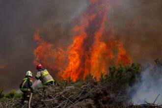 Región de Valparaíso se prepara ante riesgo de incendios forestales