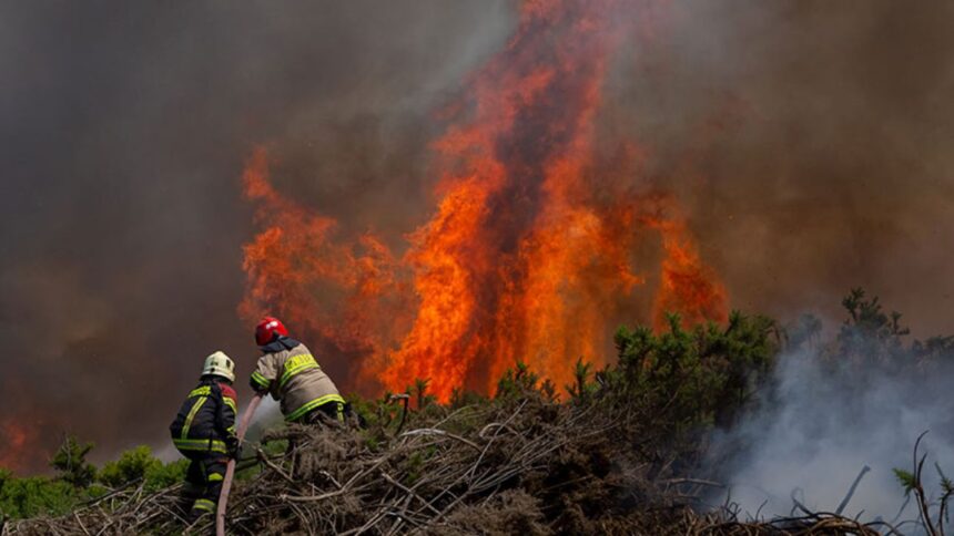 Región de Valparaíso se prepara ante riesgo de incendios forestales