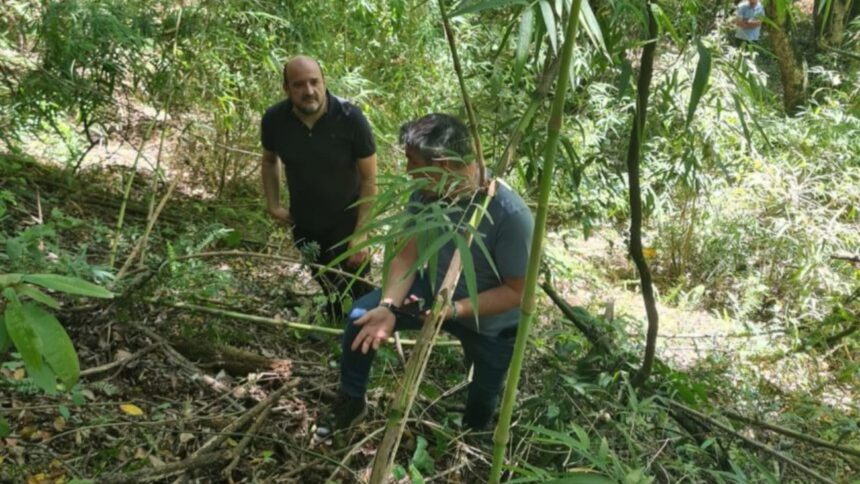 Identifican posible vínculo entre cráneo hallado y desaparecido en Villarrica