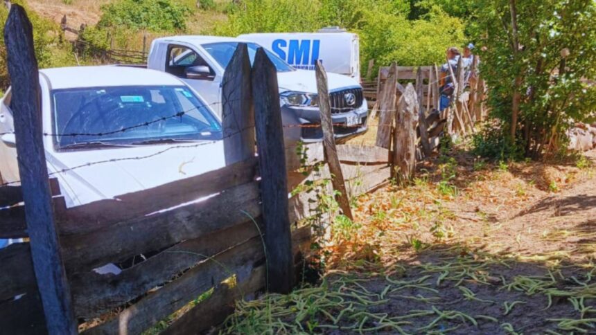 Fatal accidente por máquina cortadora de pasto en La Montaña- Collinco