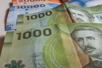 Cómo verificar con tu RUT si eres beneficiario del Aporte Familiar Permanente en 2025