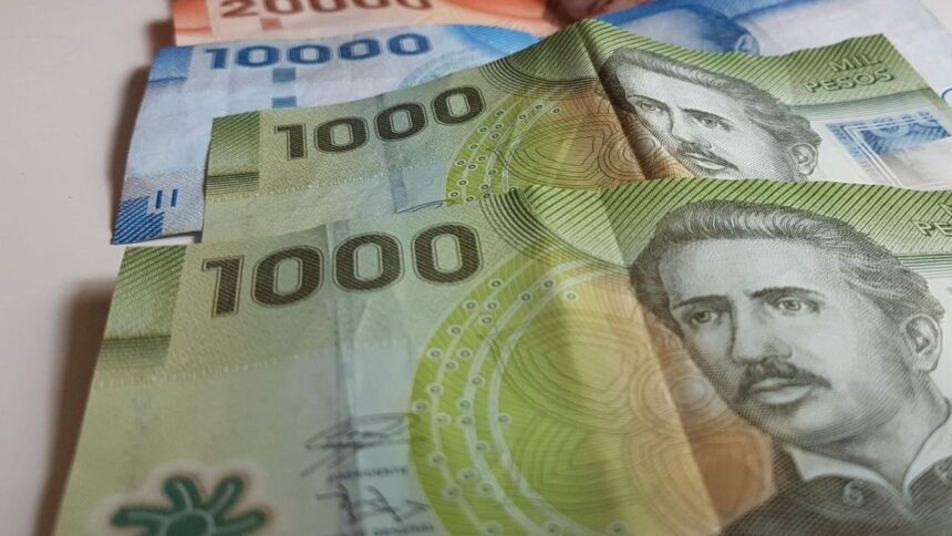 Cómo verificar con tu RUT si eres beneficiario del Aporte Familiar Permanente en 2025