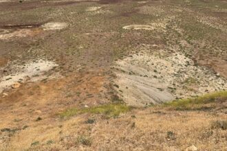 Proyecto "Prospección Minera San Pietro" de $15 millones busca establecer un plan minero en el futuro