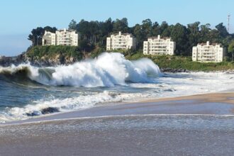 Marejadas azotan Pingueral: playa cerrada por alto riesgo de oleaje