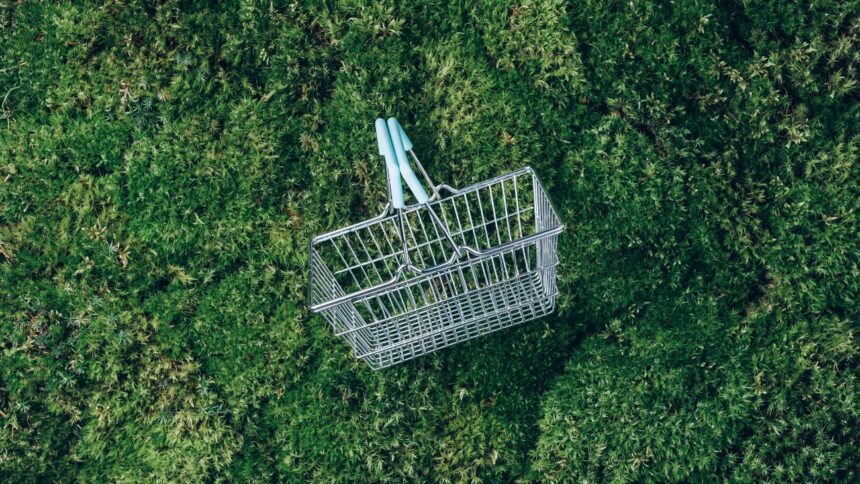 El impulso de la sostenibilidad en el comercio electrónico moderno