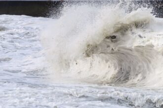 Alerta por marejadas en el litoral chileno: horarios y recomendaciones importantes