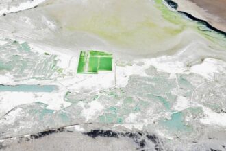 Extienden régimen cautelar en el Salar de Surire hasta el 2025