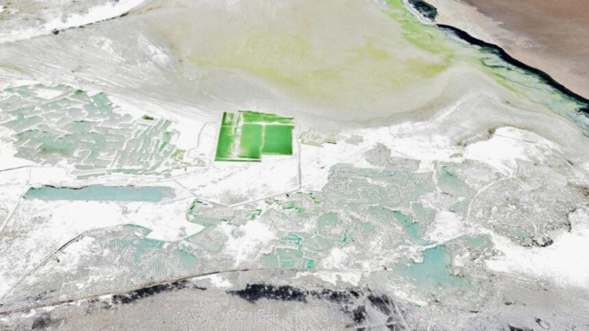 Extienden régimen cautelar en el Salar de Surire hasta el 2025