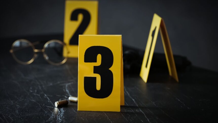 Alto número de homicidios y desafíos: balance del 2024-2025