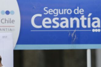 Guía para acceder al Seguro de Cesantía: pasos y requisitos