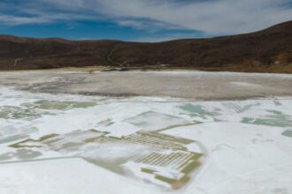 El Tribunal Ambiental extiende régimen cautelar en el Salar de Surire hasta 2025
