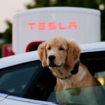 Caída en las ventas anuales de Tesla: 1,79 millones de vehículos vendidos en 2024