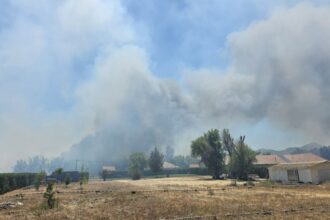Alerta Roja en Talagante por incendio forestal cerca de zonas pobladas