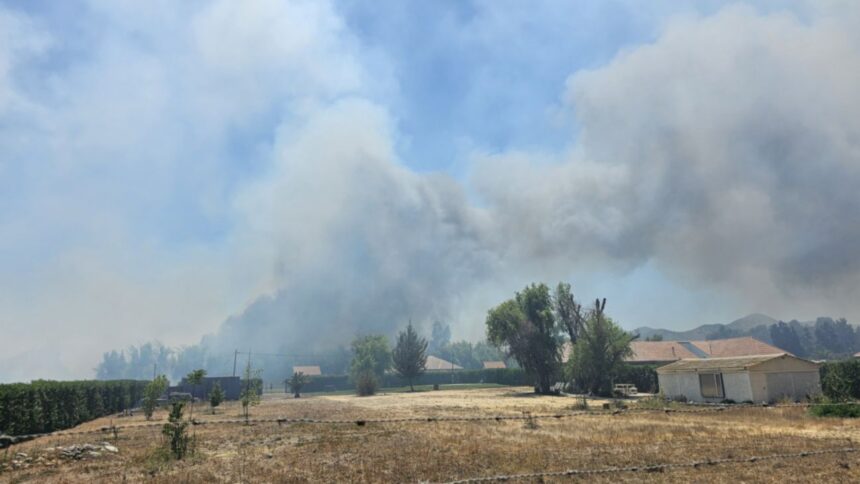 Alerta Roja en Talagante por incendio forestal cerca de zonas pobladas