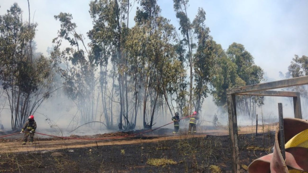 Incendio forestal en San Antonio: controlado tras afectar tres hectáreas