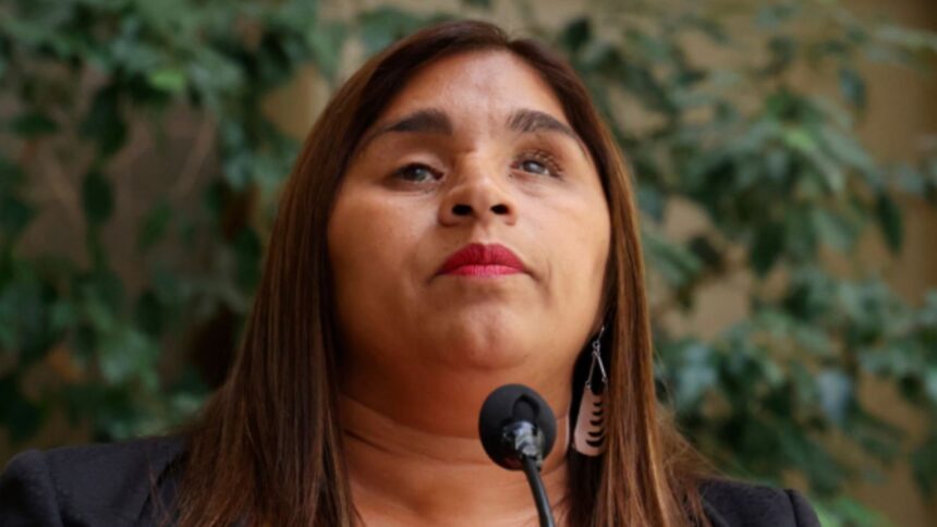 Proyecto de ley de Campillai para suspender dieta parlamentaria desatada