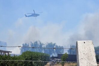 Detienen a trabajador agrícola responsable de incendio forestal en Talagante