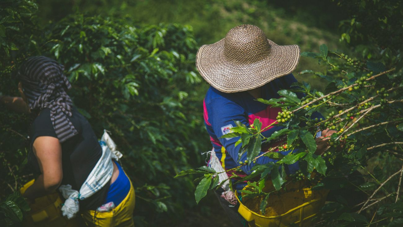 Agricultores de La Araucanía exigen igualdad de condiciones y precios justos Agricultores de La Araucanía exigen igualdad de condiciones y precios justos