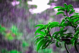 Lluvias y tormentas eléctricas en Chile: pronóstico para el martes 7 de enero