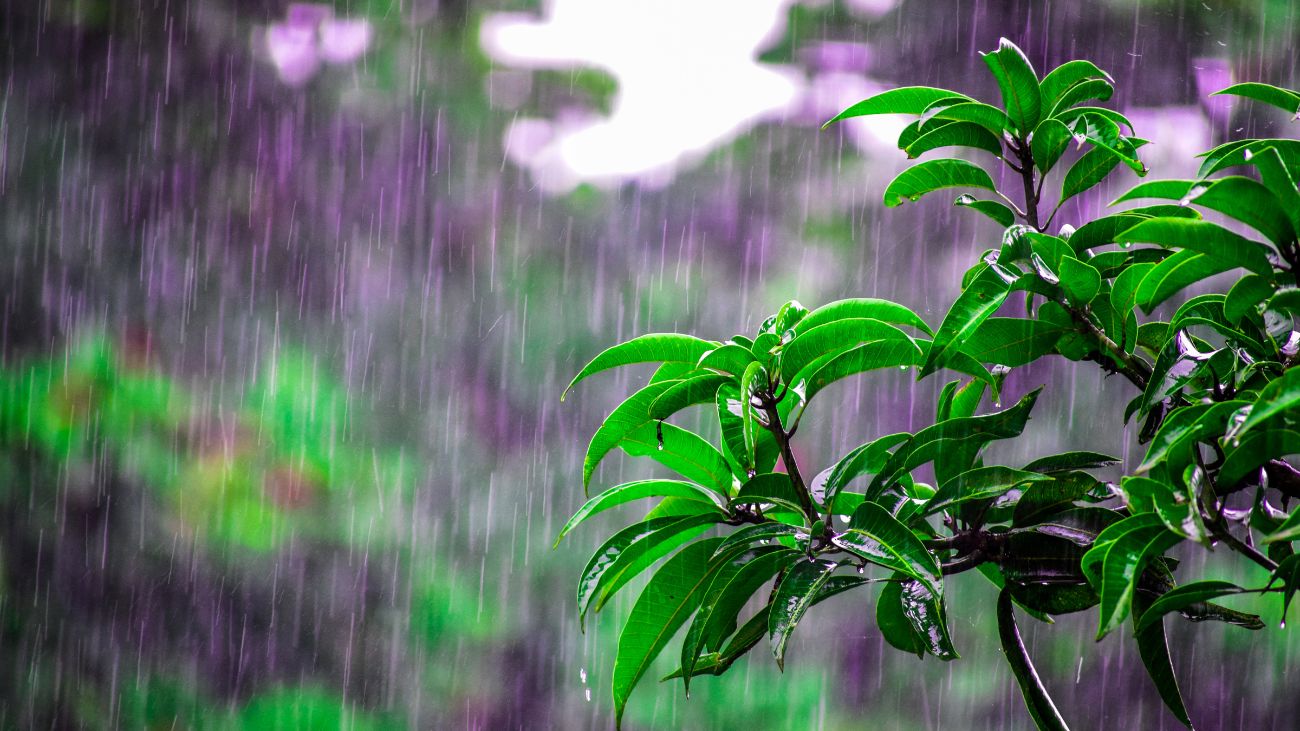 Lluvias y tormentas eléctricas en Chile: pronóstico para el martes 7 de enero Lluvias y tormentas eléctricas en Chile: pronóstico para el martes 7 de enero