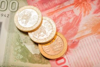 Posible aumento en beneficios estatales para febrero de 2025