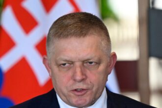 Eslovaquia recibirá 7,3 millones de metros cúbicos diarios de gas a través del TurkStream