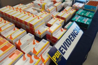 Detenido por venta ilegal de medicamentos en feria de Valdivia