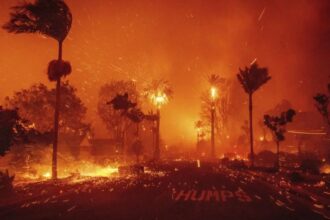 Héroe fallece en incendio al proteger su hogar en California