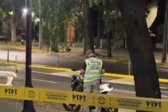 Motociclista fallece al chocar contra un árbol en Providencia, Santiago