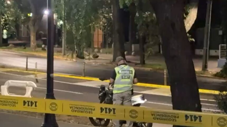 Motociclista fallece al chocar contra un árbol en Providencia, Santiago