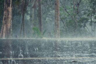 Lluvia y viento en Chile: pronóstico para este viernes 10 de enero