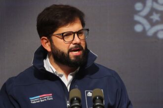 Presidente Boric advierte: Persecución a responsables de incendios en Chile