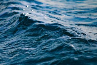 Tragedia en la playa Cocholgüe: hombre fallece ahogado en el mar