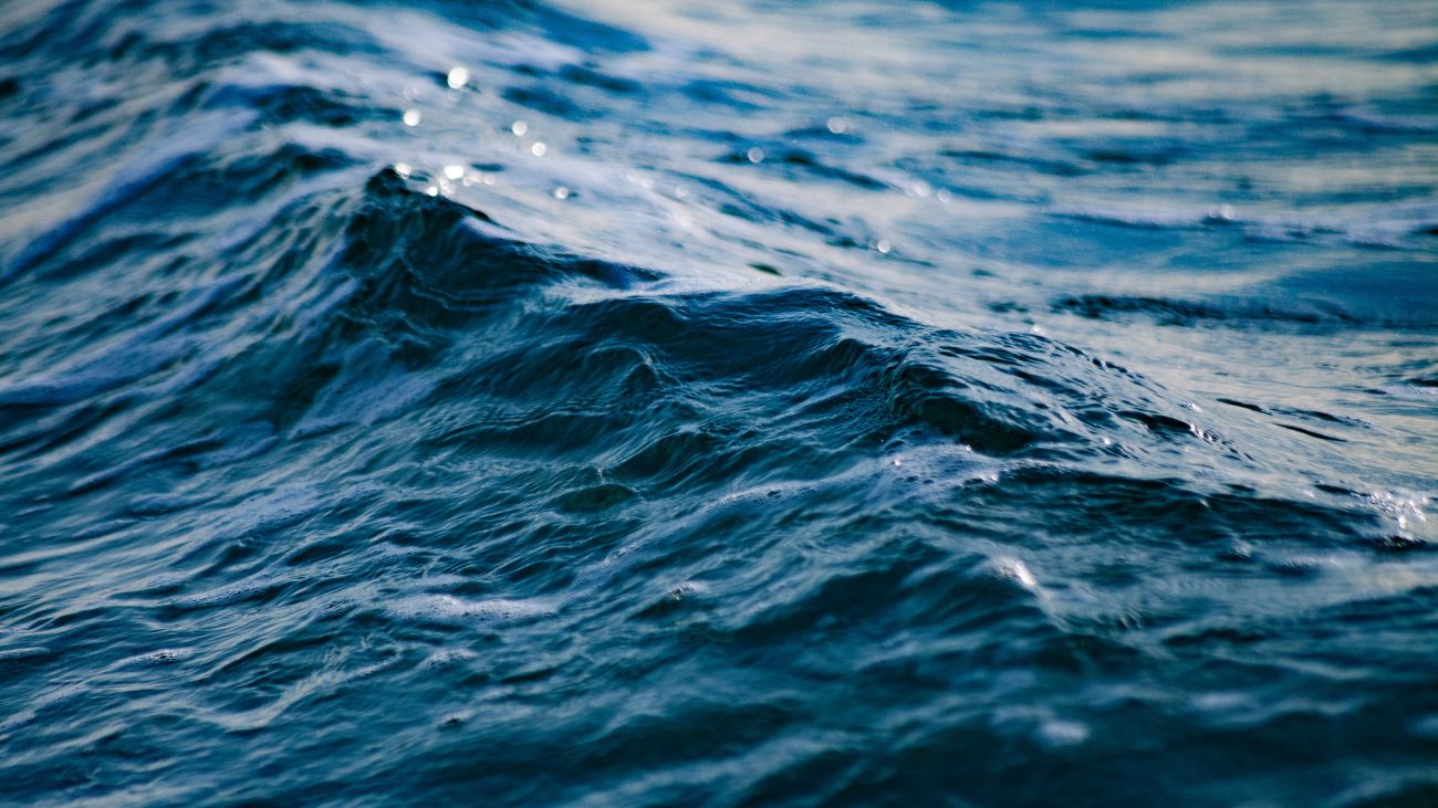 Tragedia en la playa Cocholgüe: hombre fallece ahogado en el mar Tragedia en la playa Cocholgüe: hombre fallece ahogado en el mar