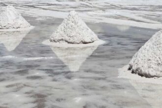 La expansión de Zijin Group en el mercado del litio: posible adquisición de productor chino