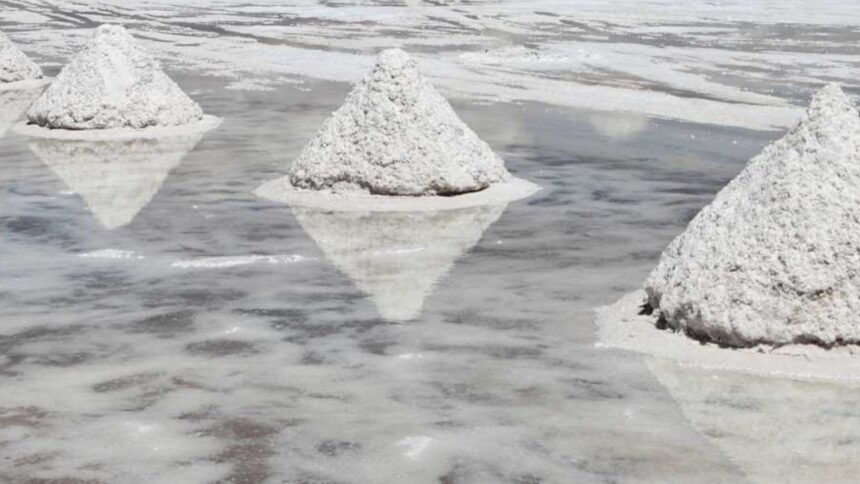 La expansión de Zijin Group en el mercado del litio: posible adquisición de productor chino