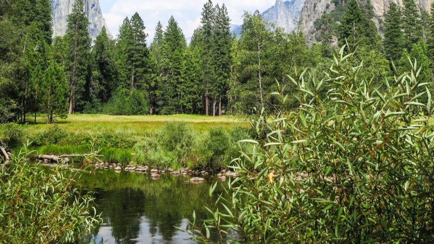 Conaf cierra parques nacionales por riesgo de incendios forestales