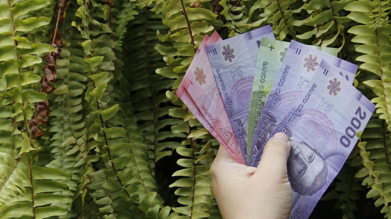 Reajuste del salario mínimo en Chile: nueva cifra a partir de enero Reajuste del salario mínimo en Chile: nueva cifra a partir de enero