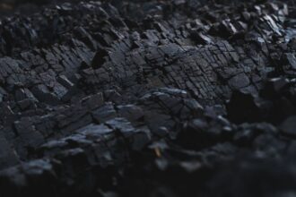 Producción récord de carbón en Indonesia alcanza los 831 millones de toneladas