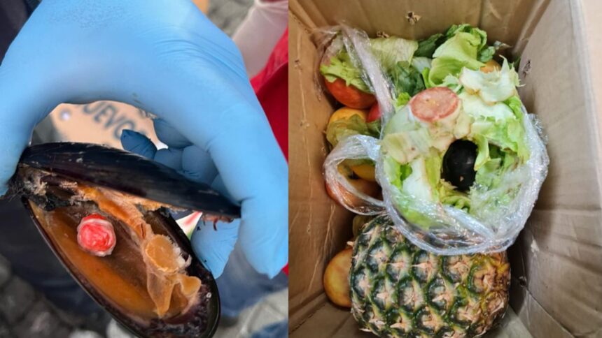 Detenidos en Chile por enviar droga oculta en alimentos hacia isla