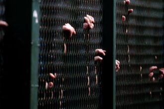 Riña en cárcel de Puente Alto deja 10 heridos y acciones tomadas