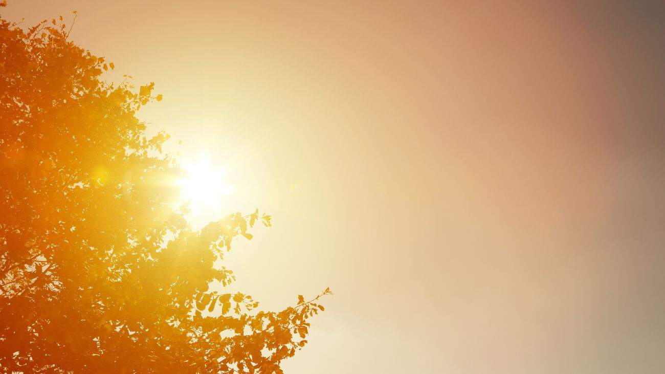 Ola de calor: RM registra temperaturas récord durante fin de semana Ola de calor: RM registra temperaturas récord durante fin de semana