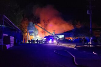 Incendio en aserradero Cerro Colorado: Bomberos luchan por controlar las llamas