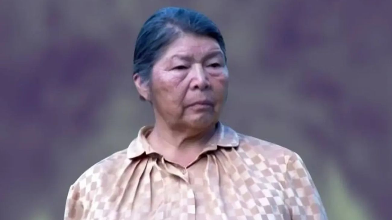 Aplican protocolo internacional en búsqueda de Julia Chuñil Catricura desaparecida Aplican protocolo internacional en búsqueda de Julia Chuñil Catricura desaparecida