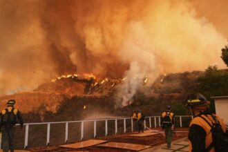 Incendios Forestales en Los Ángeles: Evacuaciones Masivas y Daños Extensos