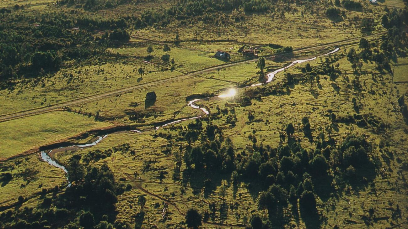 Vecinos de Puerto Montt transforman el Sitio Arqueológico Monte Verde Vecinos de Puerto Montt transforman el Sitio Arqueológico Monte Verde