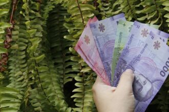 Aumentos significativos en la Pensión Garantizada Universal para beneficiarios de bajos ingresos