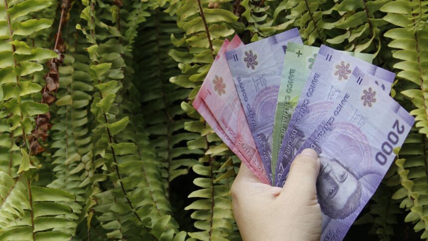 Aumentos significativos en la Pensión Garantizada Universal para beneficiarios de bajos ingresos