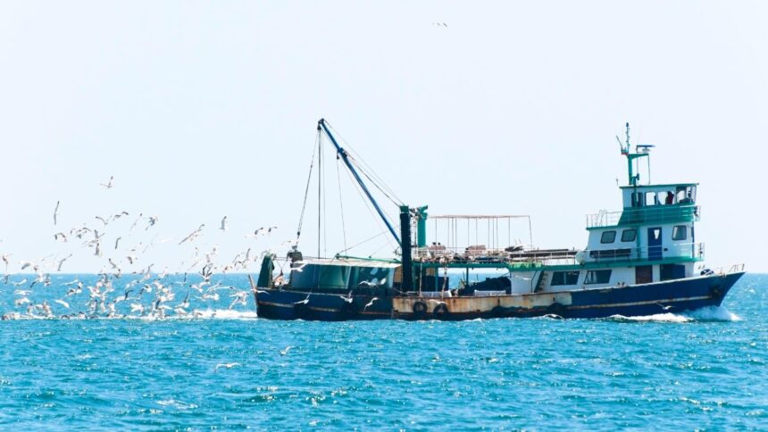 Motín en embarcación pesquera: tripulantes detenidos y en prisión preventiva