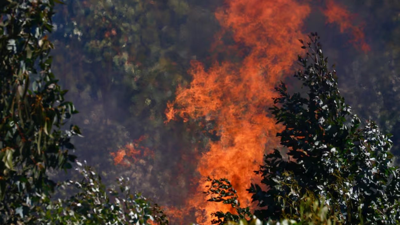 Alerta Roja en Valparaíso por Incendio en Reserva Lago Peñuelas: Controlado Alerta Roja en Valparaíso por Incendio en Reserva Lago Peñuelas: Controlado